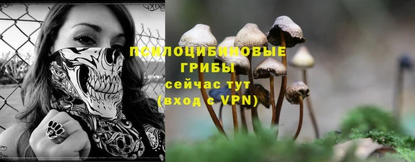 ешки Новосибирск