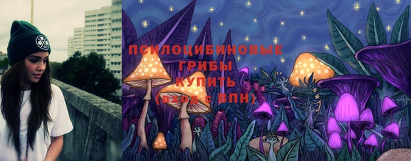 мяу мяу кристалл Осинники