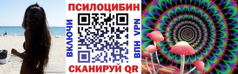 ссылка на мегу tor  Нахабино  Псилоцибиновые грибы MAGIC MUSHROOMS 